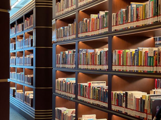 Shelves of picture books in a bright, well-lit library